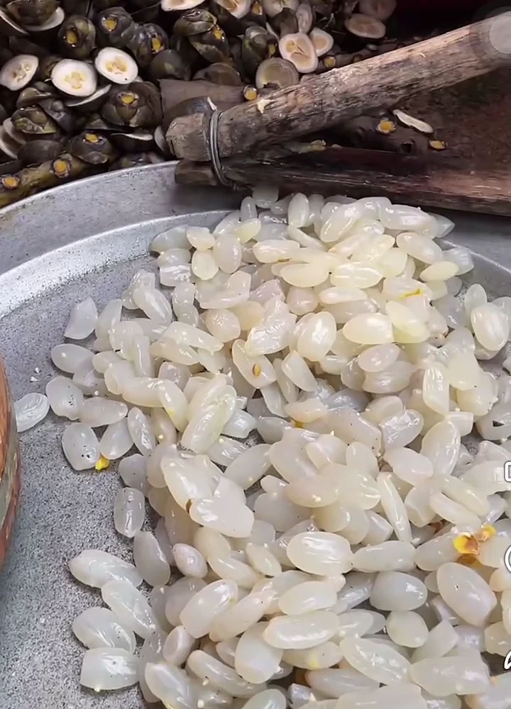 Tách hạt đác trắng ngần ra khỏi quả bằng dụng cụ gỗ thủ công